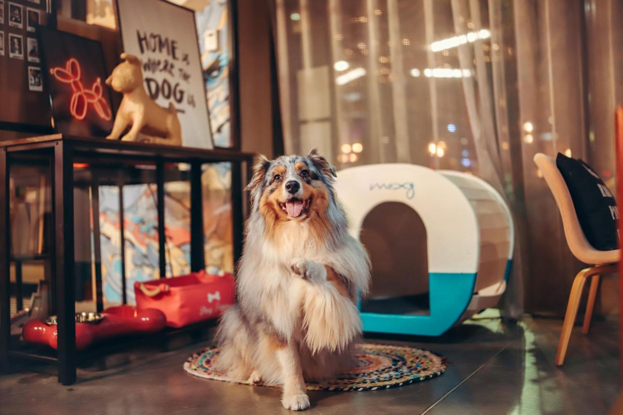 Moxy Bordeaux Ξενοδοχείο Εξωτερικό φωτογραφία